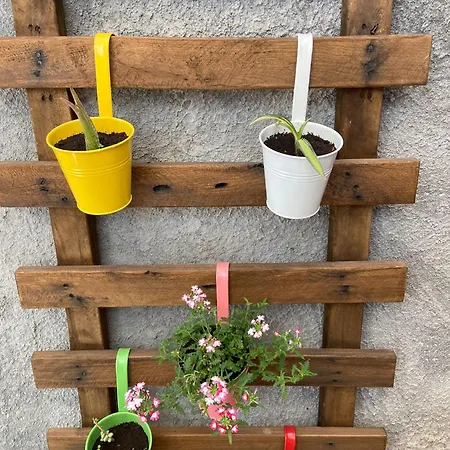 Woodenloft16 Апартаменти Катанія